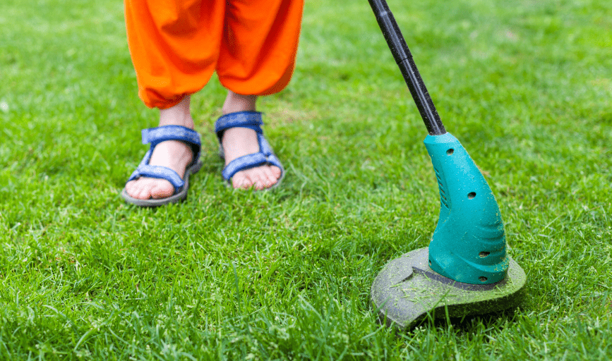 LAWN CARE SERVICES