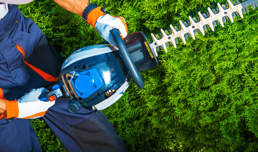 SHRUB TRIMMING
